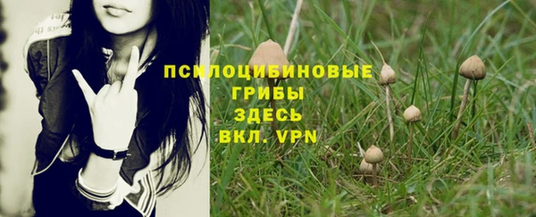 стафф Бугульма