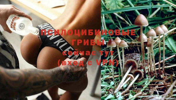 скорость Бородино